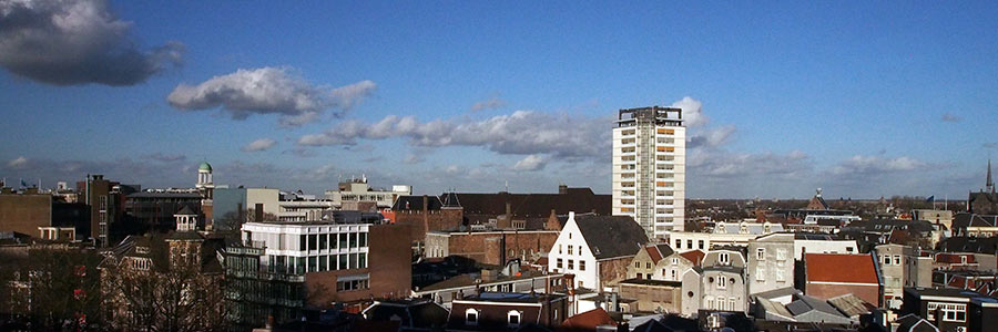 Skyline met Neudeflat vanuit La Place. Foto Arjan den Boer CC-BY-SA